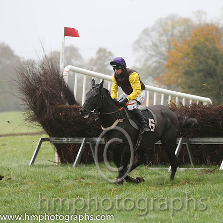 08 Blues Highway and J J Codd - PU - 08th (6 ,chocolate, yellow sleeves ) Trainer - William J McLernan