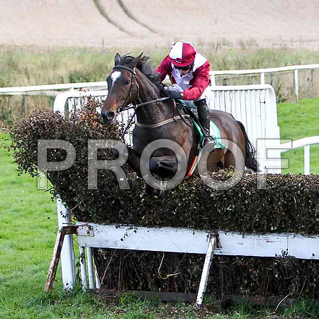 Robertstown Rover - winner - FT8E5044-e2