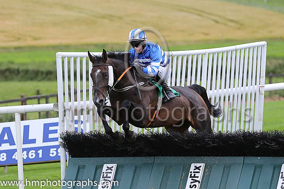 03rd Fiddle The Till and A Ring ( 8 , royal blue and white hoops ) Trainer - P J Rothwell