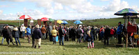 2016/04/16th - Race 5 Loughbrickland P2P
