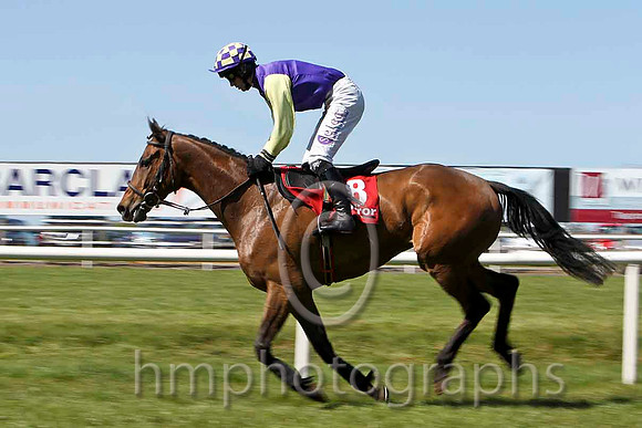 Epic Hero - 13th, Jockey B T O'Connell - FT8E2179-e2