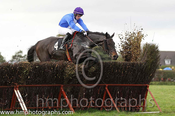 02 Gibbstown & J E Flynn - 2nd (4, royal blue, white panel ) - FT8E8556-8