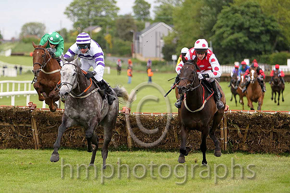 R1 - Hasaratan (6) in white and purple hoops jumps the last hurdle to win, Rider A P Thornton , Breeze with Ease 2nd (Red white spots) 2nd and Jack Apple (Green) 3rd -  CU2D9860-e