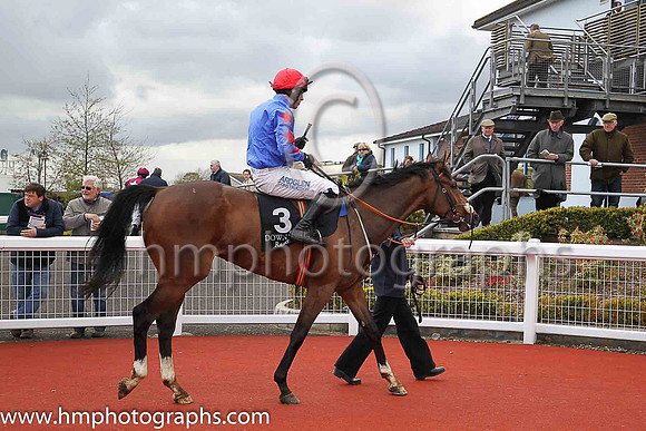 01st Kilkishen  ( 3 , royal blue, red stars on sleeves ) and Brian Hayes - Trainer : John Joseph Hanlon - Owner : Sean Hehir