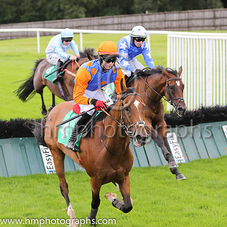 03rd Lord De Beaufai and D Meyler ( 4 , royal blue, orange spots ) Trainer - A J Martin