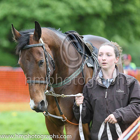 The Fermanagh Harriers Hunt Club P2P at Necarne