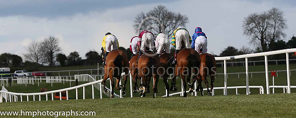 The Bibby Financial Services Ireland Punchestown Gold Cup of 200,000 Euro (grade 1)