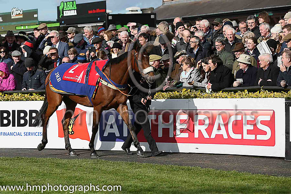 04th CUE CARD ( 2 , royal blue, pink star ) and Paddy Brennan - Trainer : Colin Tizzard