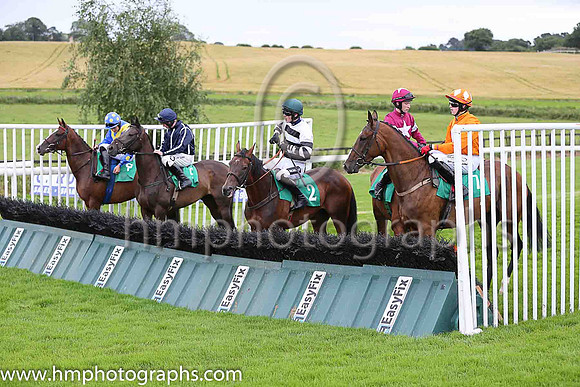 05th Aye Paddy Too and D E Mullins ( ( 2 , white and black hoops ) Trainer - W J Bryson