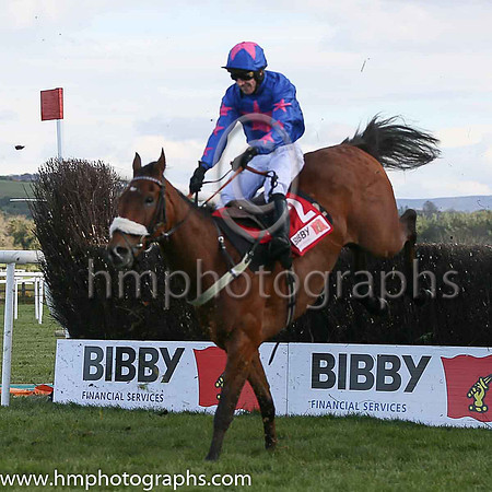 04th CUE CARD ( 2 , royal blue, pink star ) and Paddy Brennan - Trainer : Colin Tizzard