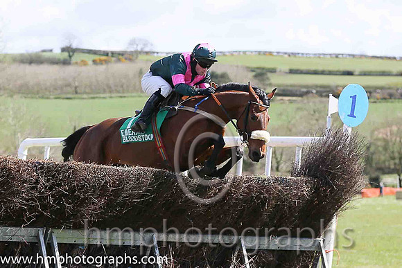 01st SHALUNA and R Deegan ( 7 , DARK GREEN,pink chevron; dark green,pink armlet sleeves; dark green cap,pink star ) Trainer: Aidan Fitzgerald,, Owner : Peter Stone