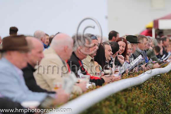 Downpatrick Race Course