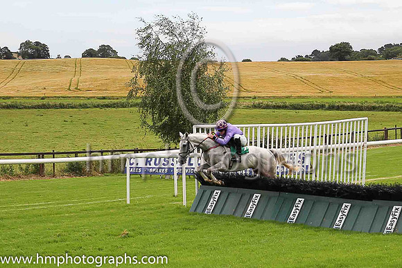 08th Erlkonig and G N Fox ( 1 , purple ) Trainer - A Mullins