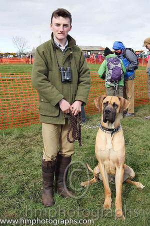 Canall McGrath from Scarvagh with one year old Great Dnhe Harry at the County Down P2P at Loughbrickland