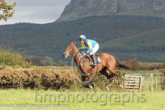 05 Gawn Ahead & J E Flynn - 5th (4, royal blue and yellow halvd) - FT8E8341-54