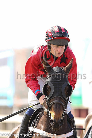 08th Thank You Pa ( 12 , red, black stars ) and K P Darcy - Trainer : G Hayes - Owner : G Hayes
