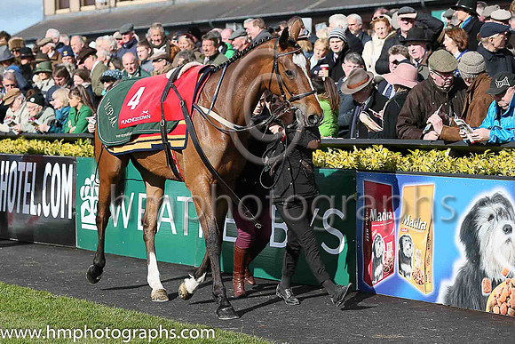 03rd DON POLI ( 4 , maroon, white star, maroon cap ) and B J Cooper - Trainer : W P Mullins