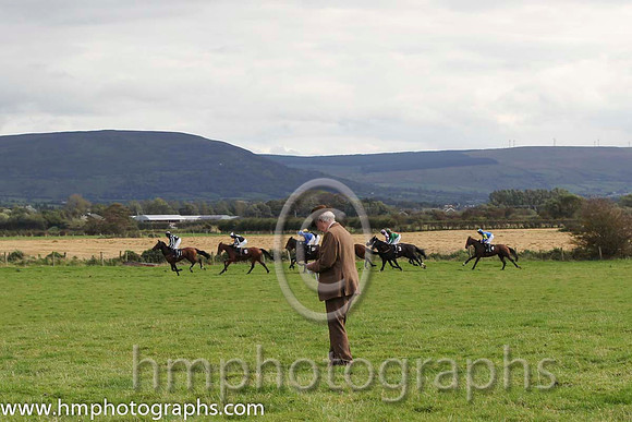 Picking a winner at the Route Point to Point steeplechases at Limavady - FT8E8328-44