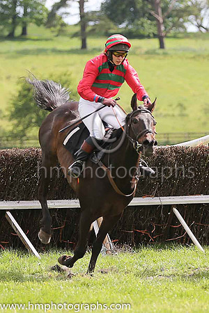 02nd NOT BEFORE EIGHT and Ms S Larkin ( 1 , EMERALD GREEN,red chevrons; red sleeves; red  emerald green hooped cap ) Trainer: D.M. Christie,, Owner : D.M. Christie