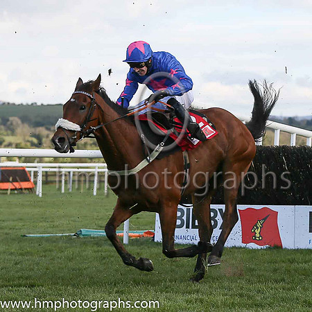 03rd DON POLI ( 4 , maroon, white star, maroon cap ) and B J Cooper - Trainer : W P Mullins