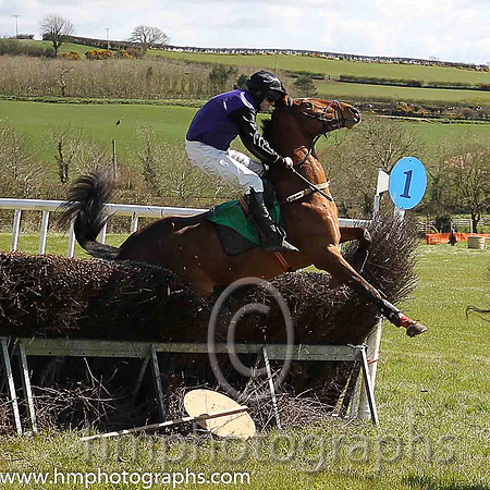 First Outcome (5, purple, black plain sleeves) and Jonathan Canavan,trainer L Lennon, owner J Canavan make a mistake at the first. Rider and horse were unhurt in the fall.