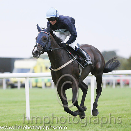 07 Josephine's Dream and Miss S Bell - - 07th (9 ,blue, light blue cross ) "