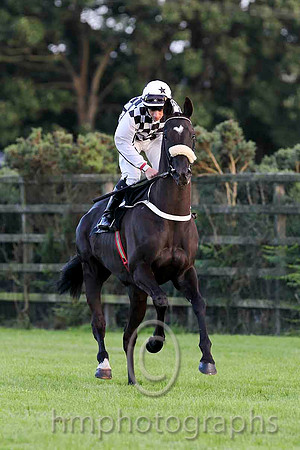 Born To Rock & W M Lordan - 12th (3, white and black check) - CU2D3381-e