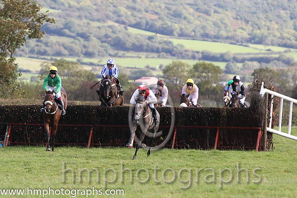 01 The Grey Taylor & J J Codd - winner (14, white, red sash) - FT8E8163-18