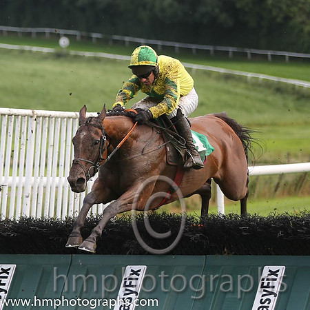 01 I C Gold & P Carberry - winners (4, yellow, green star) - AA1V0921-3