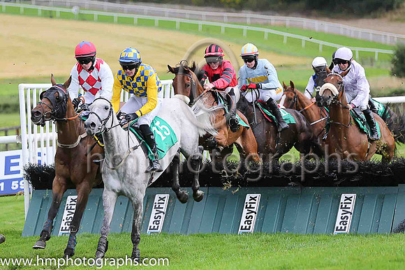 12th Nevada Rose and A McCurtin ( 15 , royal blue and yellow check ) Trainer - H Smyth