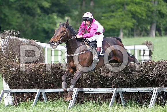 Fourth Race - Lustani Winner, Rider T D Geoghen- CU2D9626-e