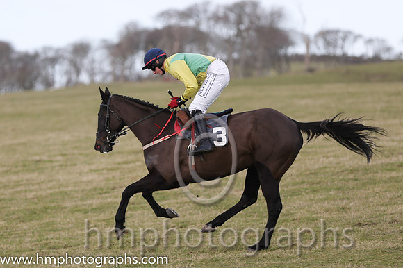 01 Mr Bolt  D H Lavery - Trainer : Sean McParlan, Black and tan check