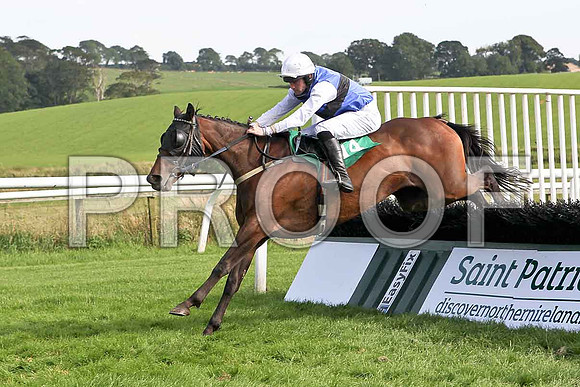 Sher Fountin, 13th Jockey M J Ferris - FT8E3128-e