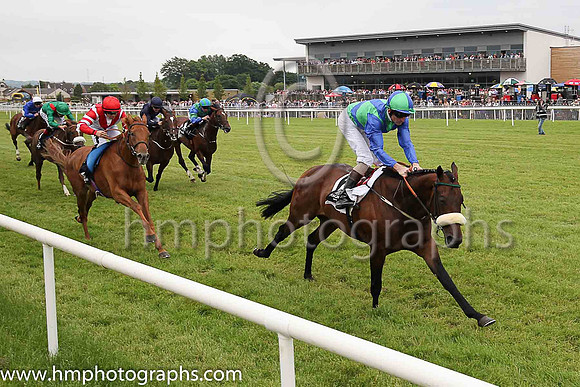 01st Stellar Mass and Kevin Manning, trainer J S Bolger win the Magners Ulster Derby of 100,000 Euro (Premier Handicap) at Down Royal