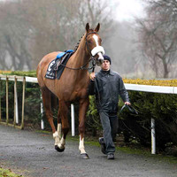 Couleur De La Loi - Jockey I J McCarthy - 11th - CU2D1761-e