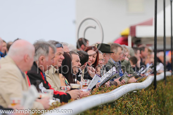 Spectators at Downpatrick Racecourse