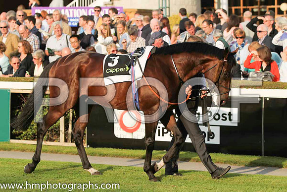 05 Leitir Mor and R P Whelan - - 05th (3 ,grey, purple panel ) Trainer - J S Bolger