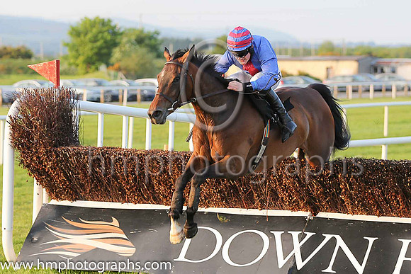 01st Kylestyle (5, royal blue, red panel) and Ger Fox, Trainer F Flood, Owner John Nestor