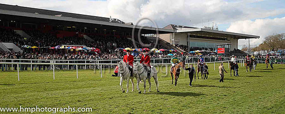 The parade - The Bibby Financial Services Ireland Punchestown Gold Cup of 200,000 Euro (grade 1)