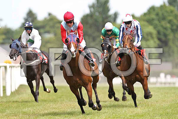 Danehill Tapdancer 6th, Jockey T C Carroll , Desert Ben 3rd, Jockey O Casey , The Hamptons 5th, Jockey F M berry & My Weather 4th, Jockey W J lee - FT8E1462-e