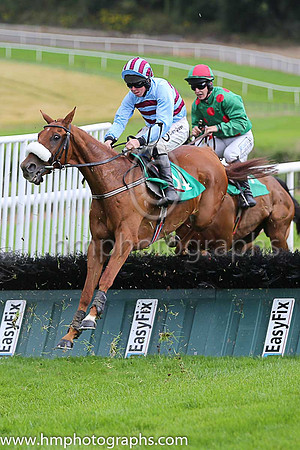 04th Gabriel Brandy and A E Lynch ( 14 , dark blue and light blue check ) Trainer - R Hennessy