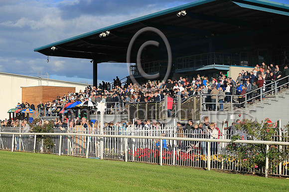 Sunshine at Down Royal on Magners Race evening