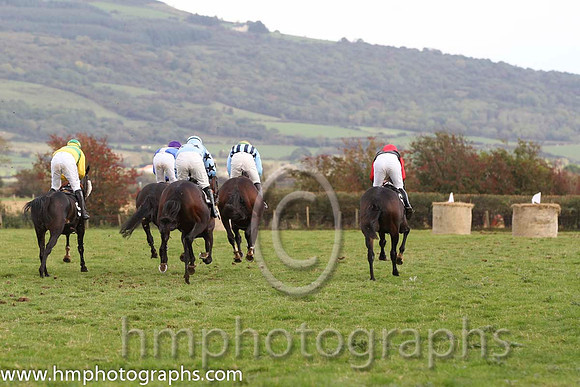 01 Mothers Tree & JJ Codd - winner (5, canary yellow, green hoop) - FT8E8601-45