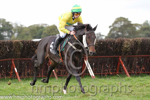 01 Mothers Tree & JJ Codd - winner (5, canary yellow, green hoop) - FT8E8564-15