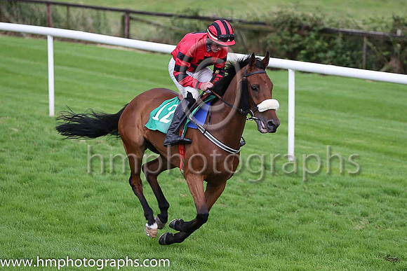07th Athdara Steeler and G B Noonan ( 12 , red, black cross ) Trainer - W J O?Doherty