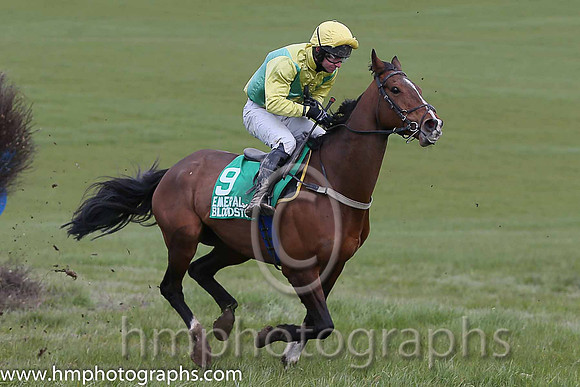 LAST MOVE and N McParlan ( 9 , YELLOW,emerald green diabolo; yellow sleeves; yellow cap ) Trainer: Sean McParlan,, Owner : Sean McParlan