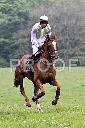 Accessallareas , 5th, Jockey C Cully - FT8E2685-e