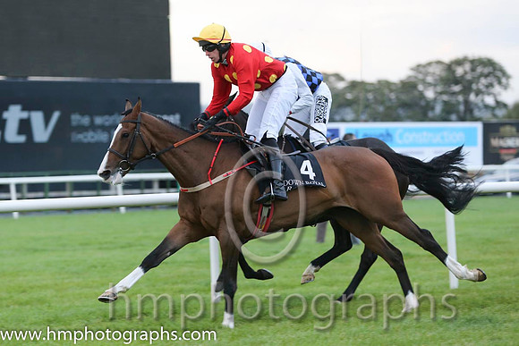 01 Our Sox and Mr S Clements - - 01st (4 ,red, yellow stars ) "