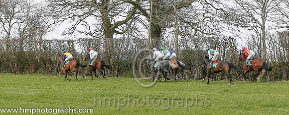 Point to Point at Loughbrickland