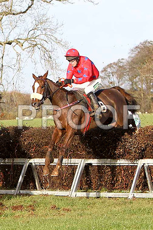 Derg Princess , Winner - Jockey Derek O'Connor - FT8E6144-e2